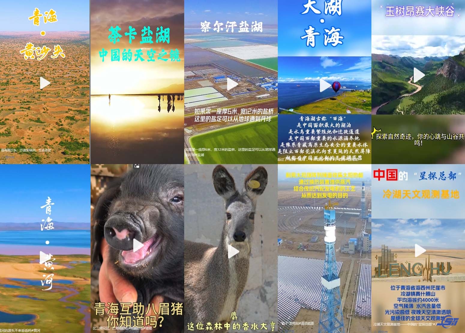 未标题-1.jpg